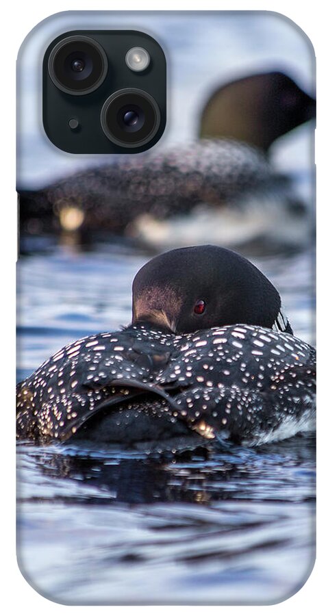 Summer iPhone Case featuring the photograph Loon Pair by White Mountain Images