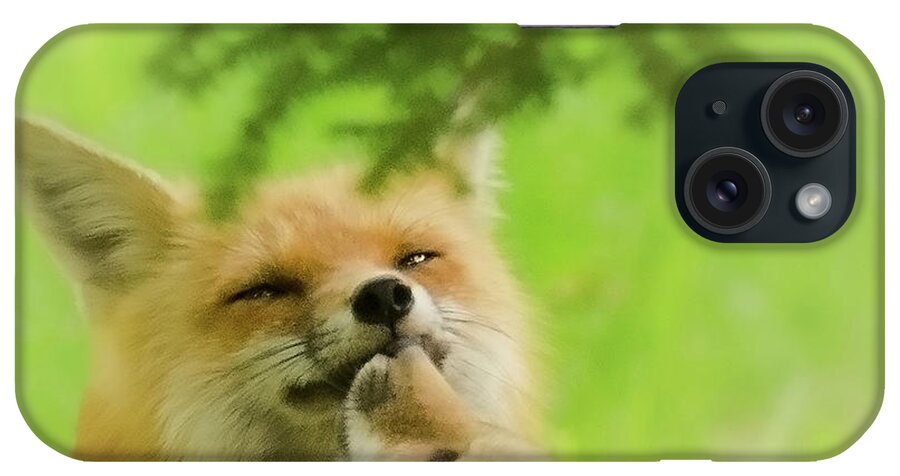 Foxes iPhone Case featuring the photograph Love and Kisses II by Kristin Hatt