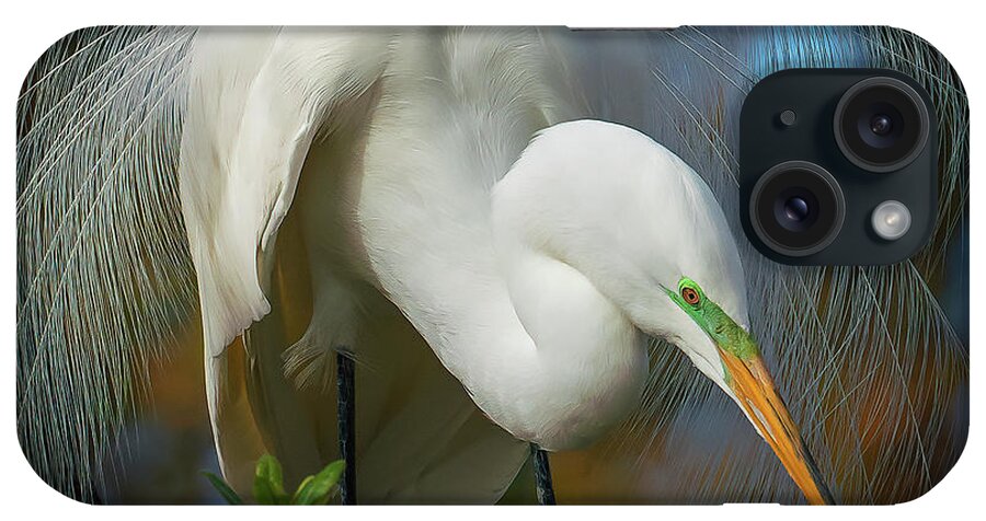 Birds iPhone Case featuring the photograph Love In The Air by Sylvia Goldkranz