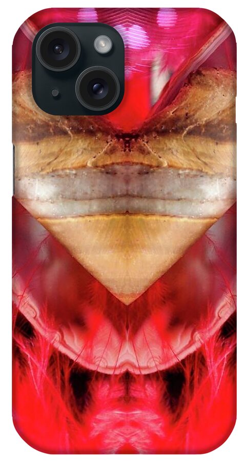  iPhone Case featuring the photograph Love Tiger Eye by Lorella Schoales