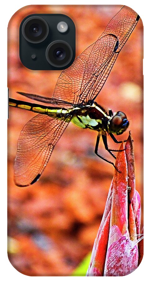 Dragonfly iPhone Case featuring the photograph Lovely Dragonfly by Bill Barber