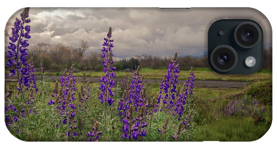 Landscape iPhone Case featuring the photograph Lupine @ Oakdale Rec. by Mark Robert Bein