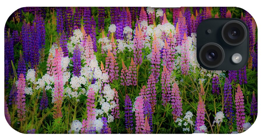 Flowers iPhone Case featuring the photograph Lupineland by Jeff Cooper