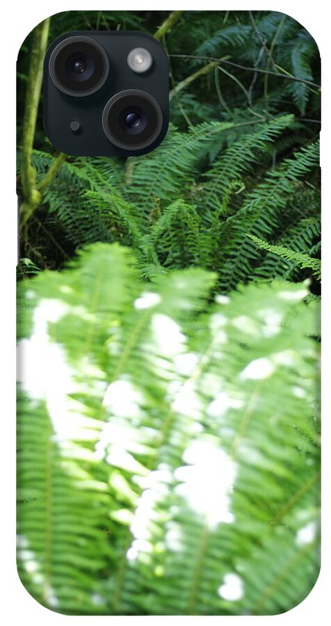 Nature iPhone Case featuring the photograph Ferns by Mr JB Stickley