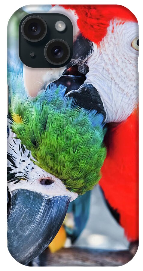 Free Flight iPhone Case featuring the photograph Macaw Lovers by Kyle Hanson