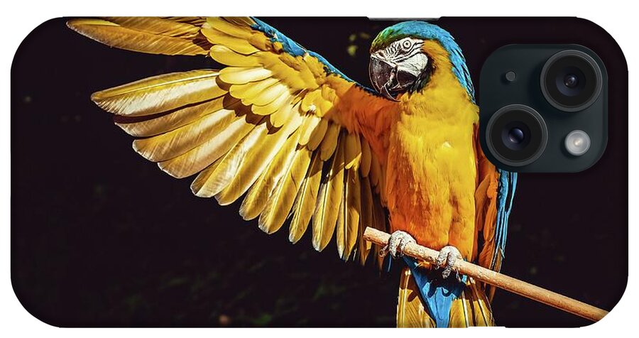 Macaw Parrot iPhone Case featuring the photograph Macaw Showing Off by World Art Collective