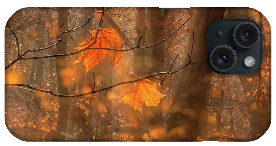 Fall iPhone Case featuring the photograph Magic Forest by Robert Charity