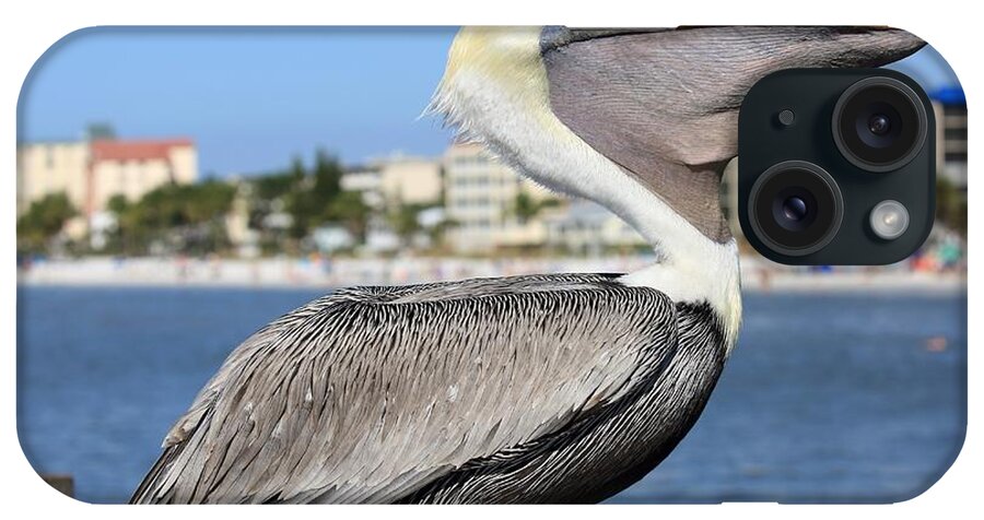 Pelicans iPhone Case featuring the photograph Magnificent Throat Pouch by Mingming Jiang