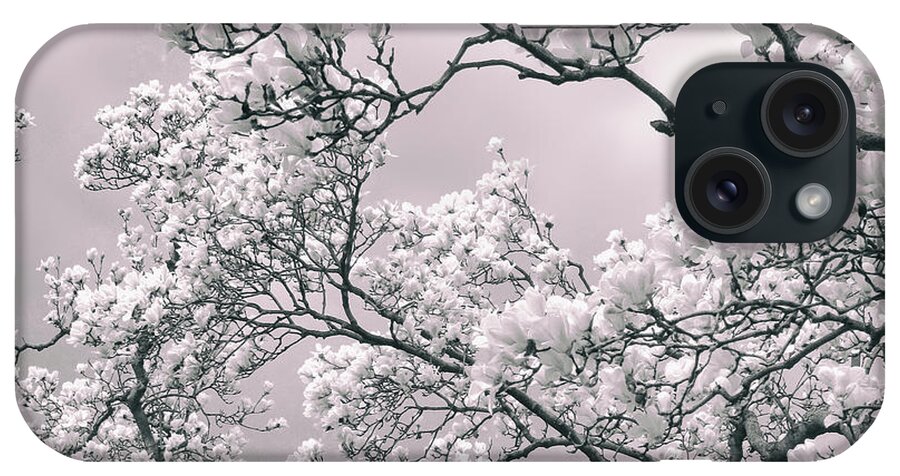 Trees iPhone Case featuring the photograph Magnolia Blush by Jessica Jenney