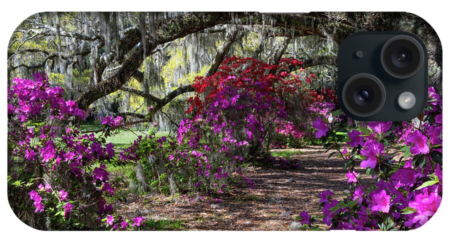 Magnolia Plantation iPhone Case featuring the photograph Magnolia Plantation Path under the Oaks - Charleston South Carolina by Dale Powell