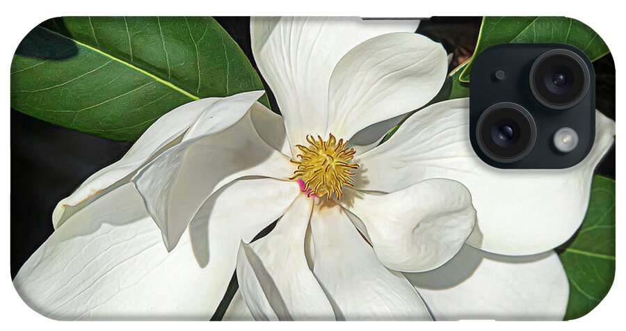 Magnolia iPhone Case featuring the photograph Magnolia Portrait by Ginger Stein