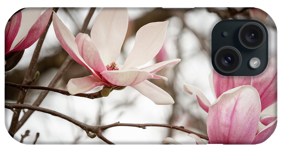 Mcdowell County iPhone Case featuring the photograph Magnolias in March by Joni Eskridge