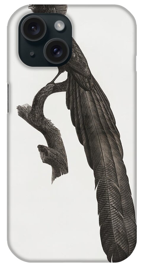 Jacques Barraband iPhone Case featuring the digital art Magpie Bird Of Paradise Male 01 - Vintage Bird Illustration - Birds Of Paradise - Jacques Barraband by Studio Grafiikka