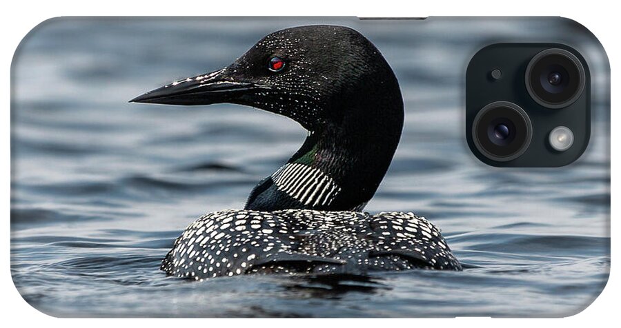 Maine Loon Bird Wildlife Nature iPhone Case featuring the photograph Maine Loon by David Hufstader