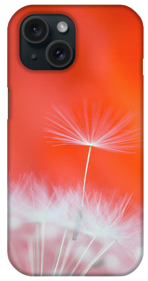 Ideas iPhone Case featuring the photograph Make a Wish - on Red by Anita Nicholson