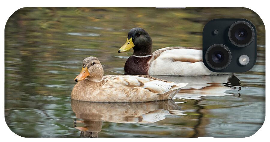 Anas Platyrhynchos iPhone Case featuring the photograph Male and Female Mallards in Seattle by Nancy Gleason
