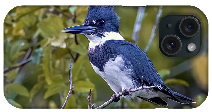 Male Belted Kingfisher iPhone Case featuring the photograph Male Belted Kingfisher by Jaki Miller