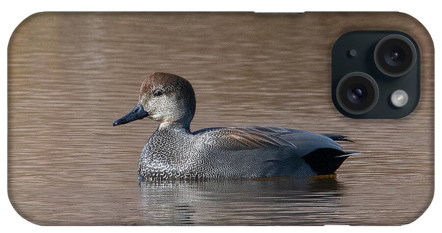 Nature iPhone Case featuring the photograph Male Common Gadwall DWF0225 by Gerry Gantt