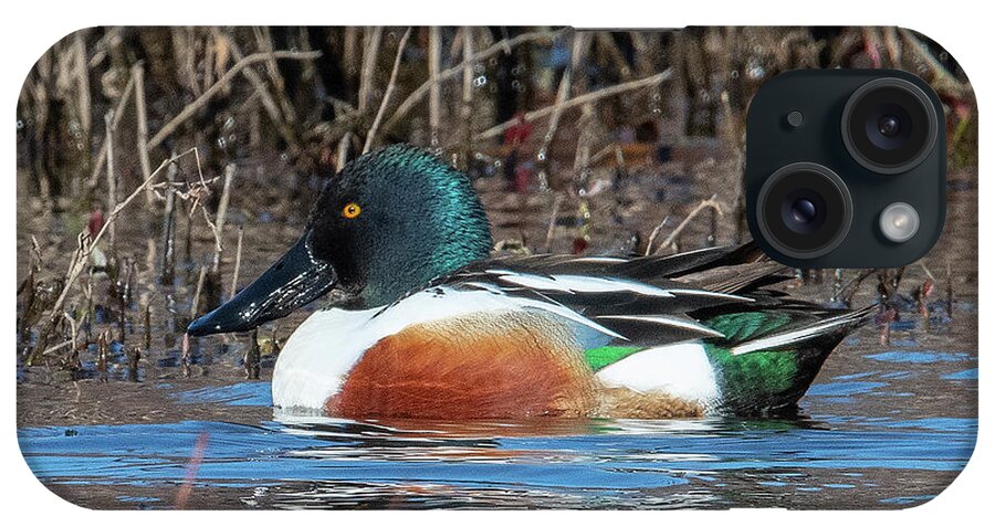 Nature iPhone Case featuring the photograph Male Northern Shoveler DWF0233 by Gerry Gantt