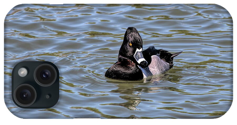 Ring Necked Duck iPhone Case featuring the photograph Male Ring Necked Duck 07 by Elisabeth Lucas