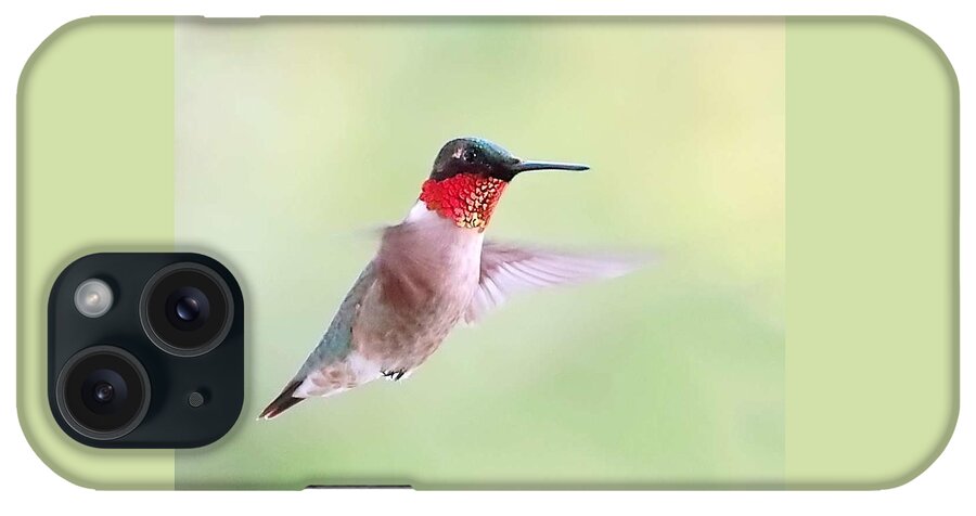 Hummingbird iPhone Case featuring the photograph Male Ruby-Throat in Flight by Lori Lafargue