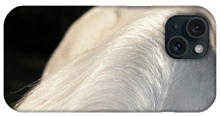 Abstract iPhone Case featuring the photograph Mane Abstract by Phil And Karen Rispin