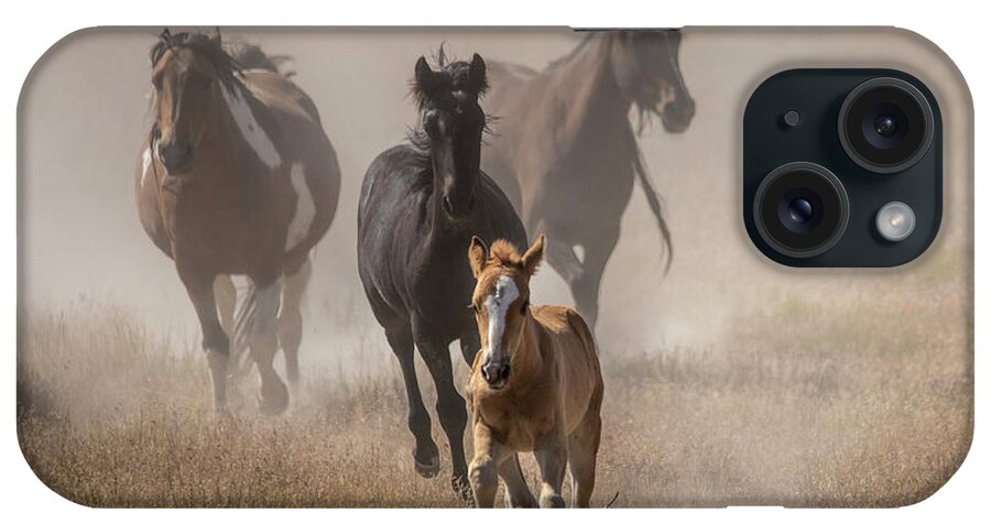 Wild Horse iPhone Case featuring the photograph Margie's Mustang Baby by Dirk Johnson