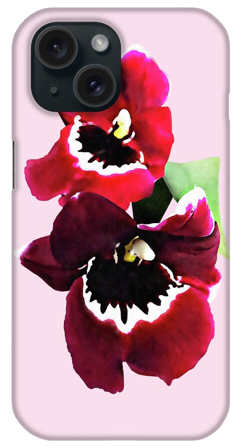 Orchid iPhone Case featuring the photograph Maroon Miltonia Orchid by Susan Savad