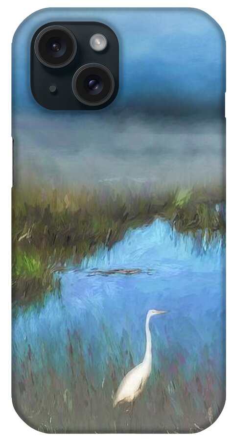 Swamp iPhone Case featuring the photograph Marsh Mist Cumberland Island, Georgia by Marjorie Whitley