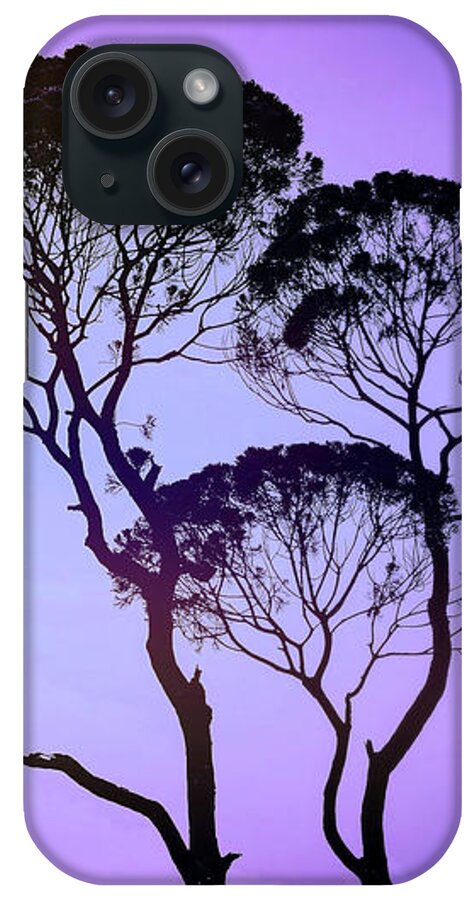 Mauve Morning iPhone Case featuring the photograph Mauve Morning by Susan Maxwell Schmidt
