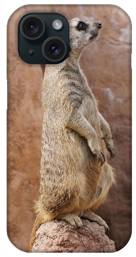 Alert iPhone 15 Case featuring the photograph Meerkat Sentry On a Rock by Tom Potter