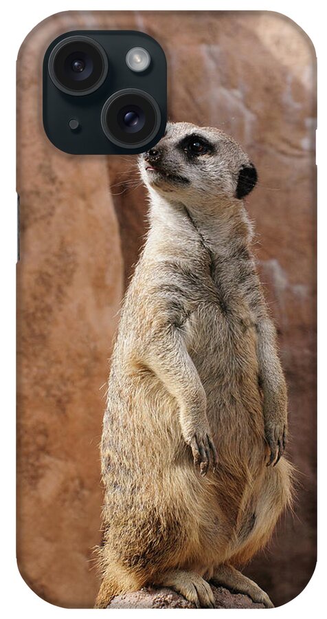 Alert iPhone 15 Case featuring the photograph Meerkat Standing Guard by Tom Potter