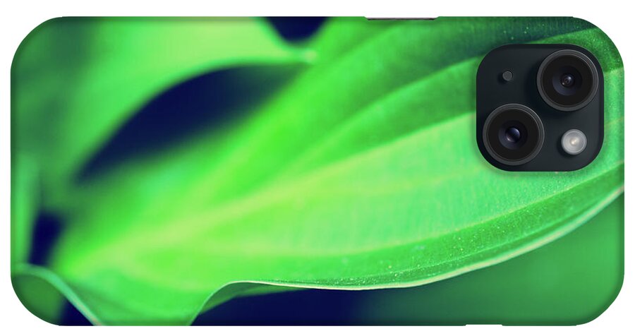 Abstract iPhone Case featuring the photograph Mellow Hosta Leaves Botanical / Nature Photograph by PIPA Fine Art - Simply Solid