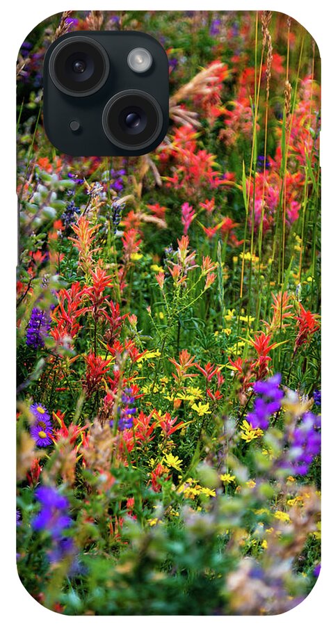 Mesa Verde iPhone Case featuring the photograph Mesa Verde Wildflowers by Joe Kopp