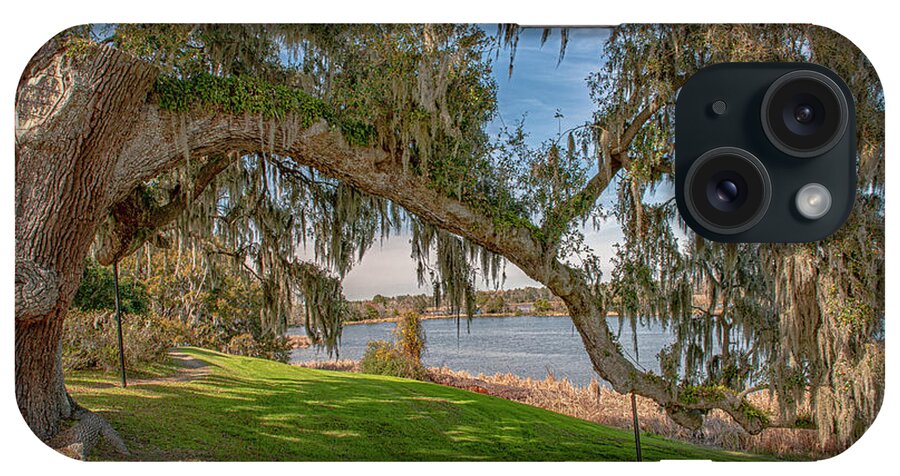 Live Oak Tree iPhone Case featuring the photograph Middleton Oak Stretching to the Ashley River by Dale Powell