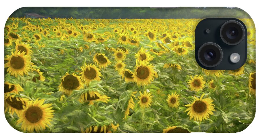 Sunflower Fields iPhone Case featuring the photograph Midwest Sunflower Fields by Mary Lynn Giacomini