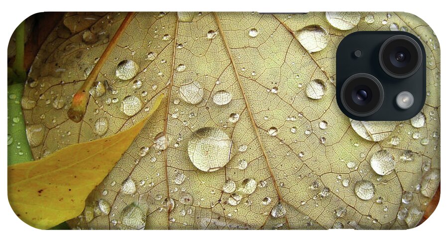 Dew iPhone Case featuring the photograph Mighty Leaf by Sheryl Burns