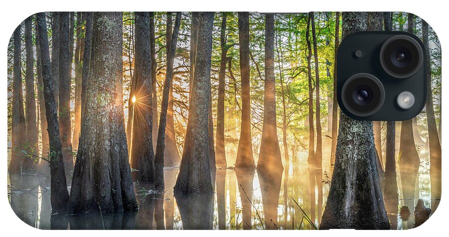 Noxubee National Wildlife Refuge iPhone Case featuring the photograph Mississippi Cypress Tree Sunrise In Morning Fog by Jordan Hill