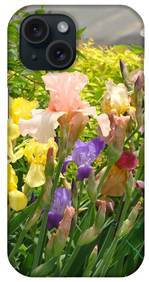 Colorful Iris iPhone Case featuring the photograph Mixed Iris by Anthony Seeker