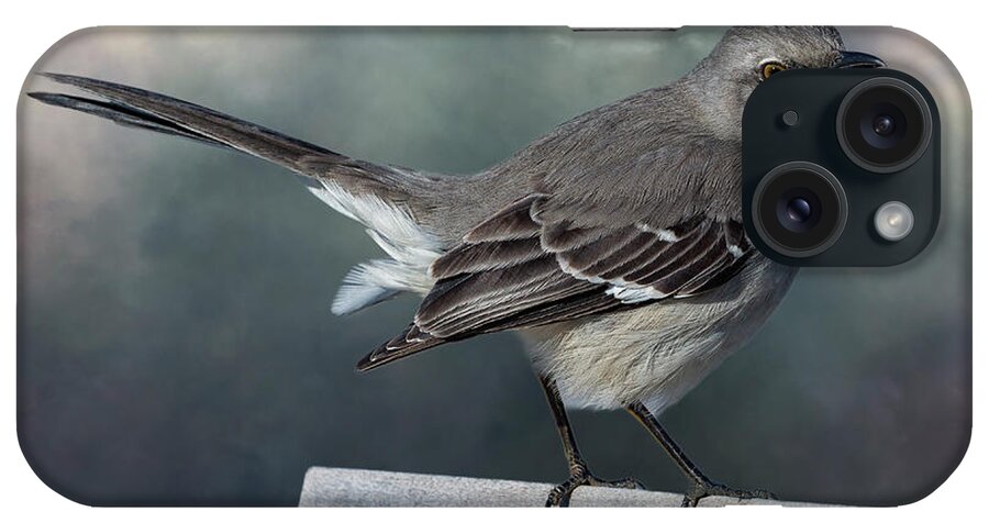 Northern Mockingbird iPhone Case featuring the photograph Mockingbird by Cate Franklyn