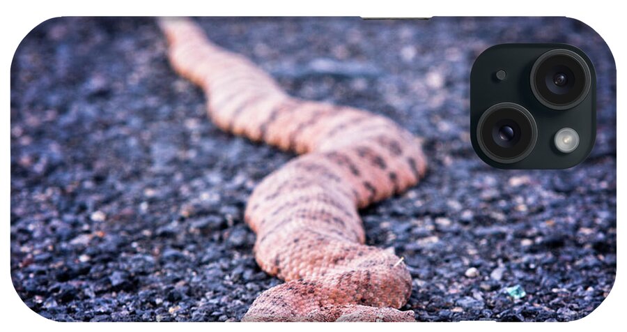 Arizona iPhone Case featuring the photograph Mohave rattlesnake-#7980 by Jack and Darnell Est