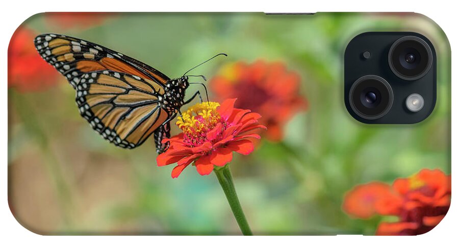 Monarch Butterfly iPhone Case featuring the photograph Monarch Butterfly and Red Zinnia by Tamara Becker