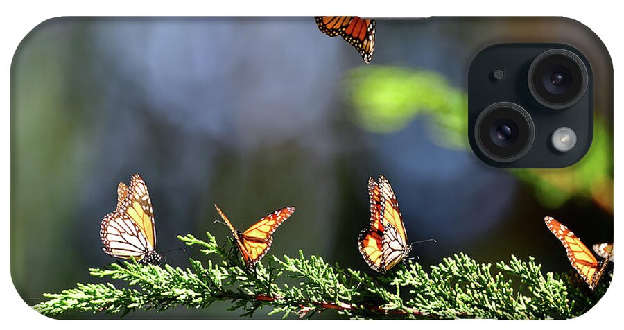 Monarch iPhone Case featuring the photograph Monarch Butterfly by Amazing Action Photo Video