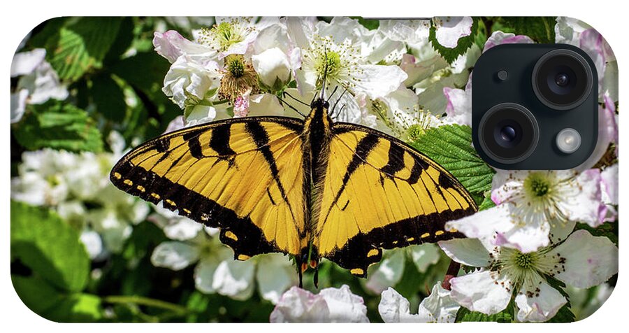 Animals iPhone Case featuring the photograph Monarch Butterfly by Louis Dallara