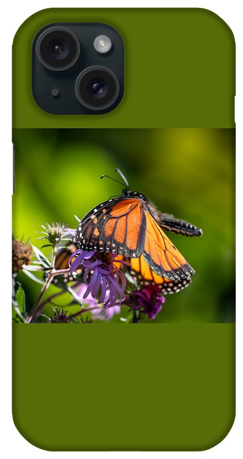 Insect iPhone Case featuring the photograph Monarch Lift Off by Linda Bonaccorsi