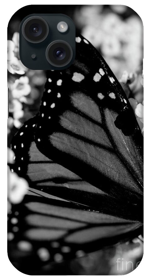 Butterfly iPhone Case featuring the photograph Monarch Moment #2 by John F Tsumas
