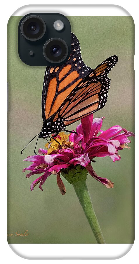 Monarch iPhone Case featuring the photograph Monarch by Rebecca Samler