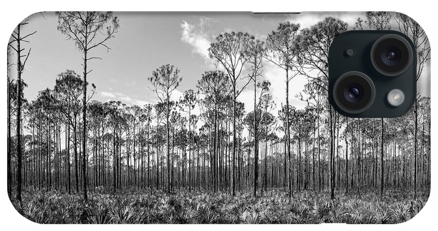 Forest iPhone Case featuring the photograph Monochrome Myakka State Forest by Robert Wilder Jr