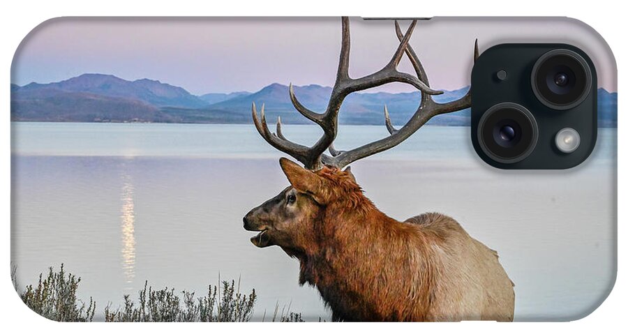 Nature iPhone Case featuring the photograph Moonrise And Elk by Ed Stokes