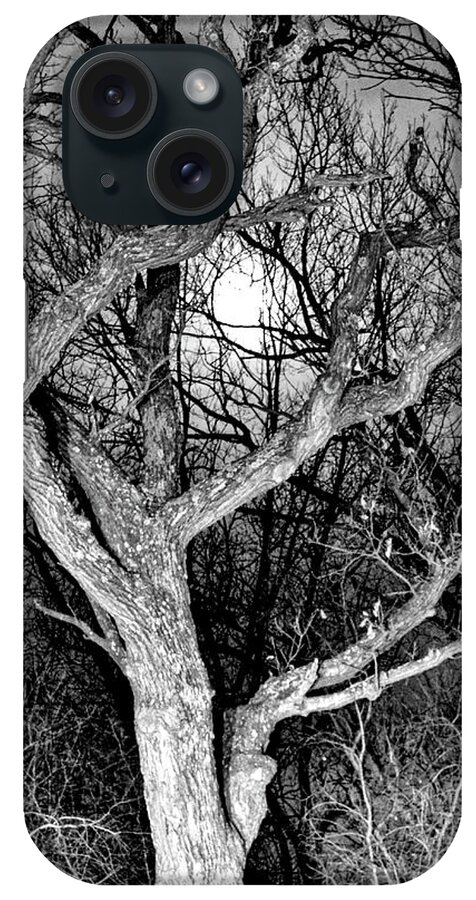 Full Moon iPhone Case featuring the photograph Moonshine 2 by Susie Loechler